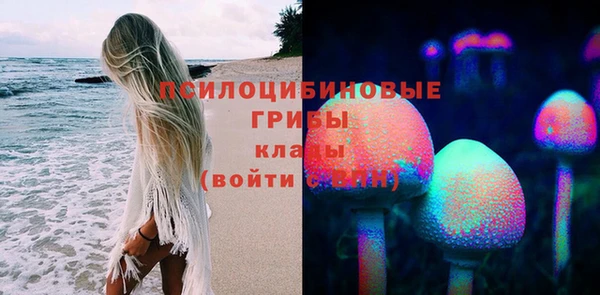 дмт Бугульма