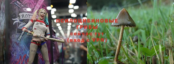МДПВ Бронницы