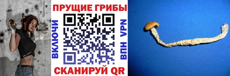 Галлюциногенные грибы MAGIC MUSHROOMS  Волжск 