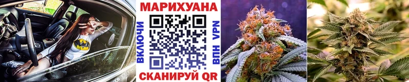 Каннабис OG Kush Волжск